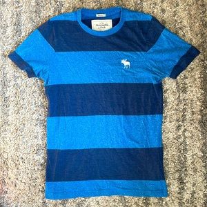 Abercrombie & Fitch Navy/Blue Striped Tshirt